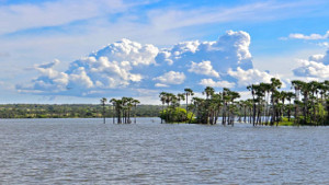 Lagoa de Apodi